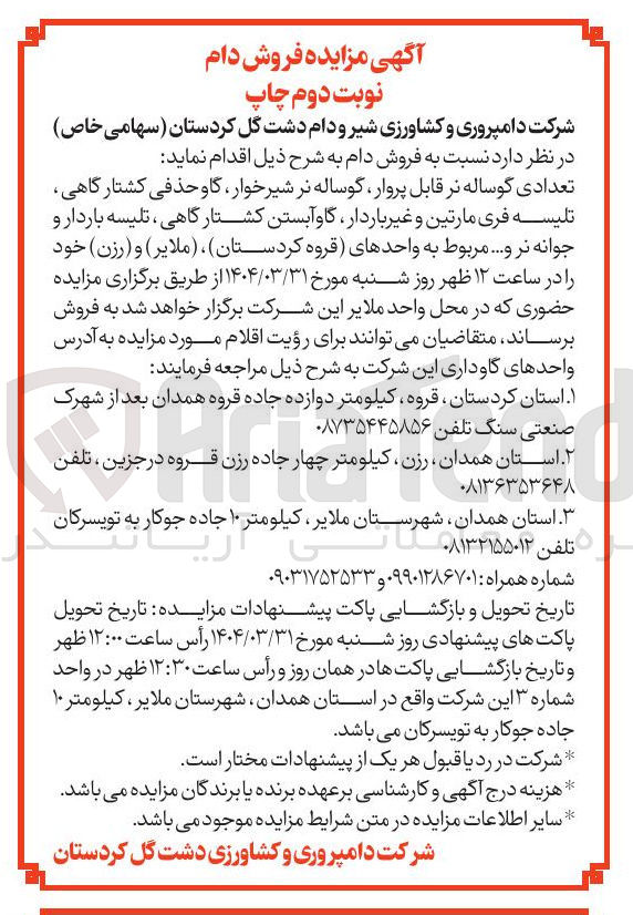 تصویر کوچک آگهی تعدادی گوساله نر قابل پروار ، گوساله نر شیر خوار گاو حذفی کشتارگاهی 
تلیسه فری مارتین و غیر باردار گاو آبستن کشتارگاهی ، تلیسه باردار و جوانه نر و .... مربوط به واحدهای قروه کردستان ) ، ( ملایر ) و ( رزن 