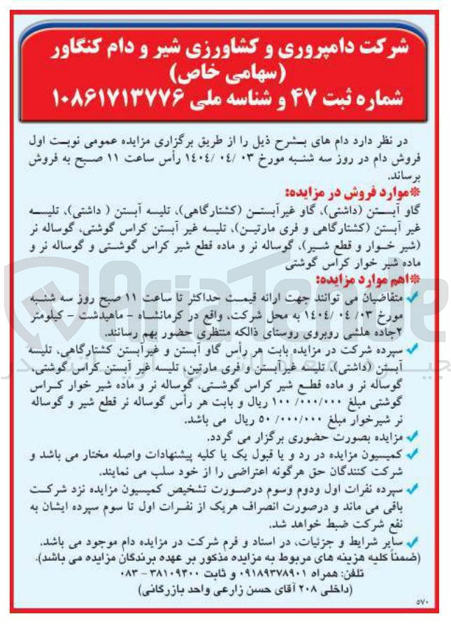 تصویر کوچک آگهی فروش دام : گاو آبستن داشتی ) گاو غیر آبستن کشتارگاهی تلیسه آبستن ( داشتی ) ، تلیسه غیر آبستن کشتارگاهی و فری مارتین تلیسه غیر آبستن کراس گوشتی گوساله نر شیر خوار و قطع شیر گوساله نر و ماده قطع شیر کراس گوشتی و گوساله نر و ماده شیر خوار کراس گوشتی