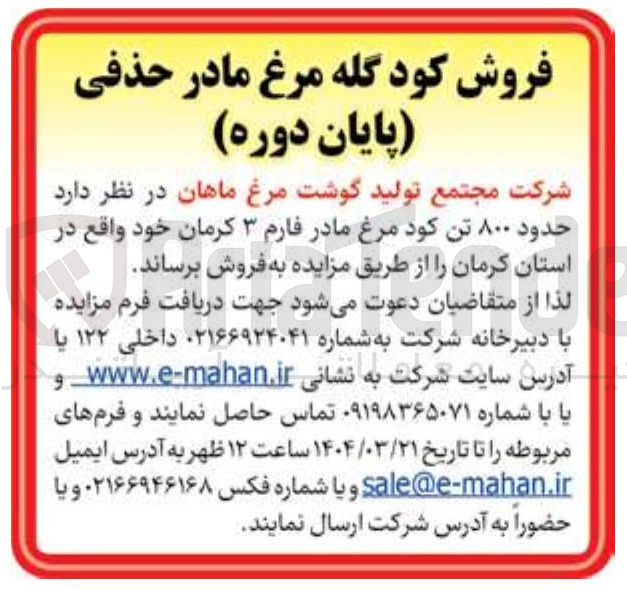 تصویر کوچک آگهی فروش حدود ۸۰۰ تن کود مرغ مادر 