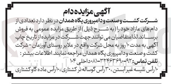 تصویر کوچک آگهی فروش تعدادی از دام های مازاد : ۱۰ رأس تلیسه غیر آبستن ، ۳۰ رأس گوساله نر کشتاری ، ۱۰ رأس ماده گاو کشتاری