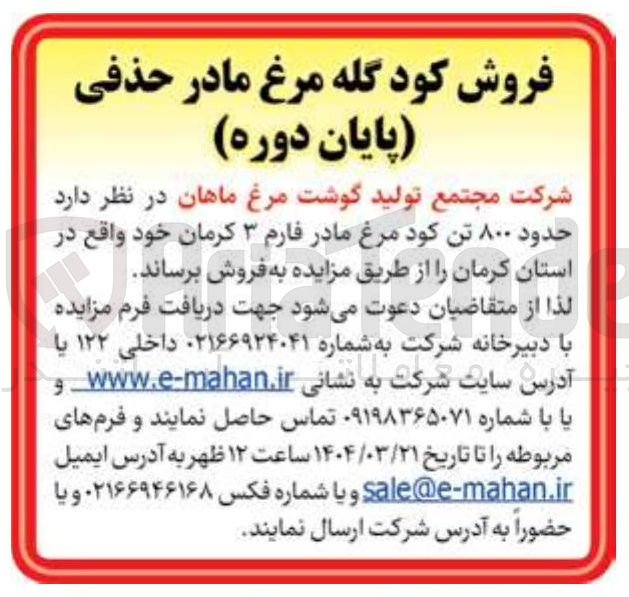 تصویر کوچک آگهی فروش حدود ۸۰۰ تن کود مرغ مادر فارم ۳