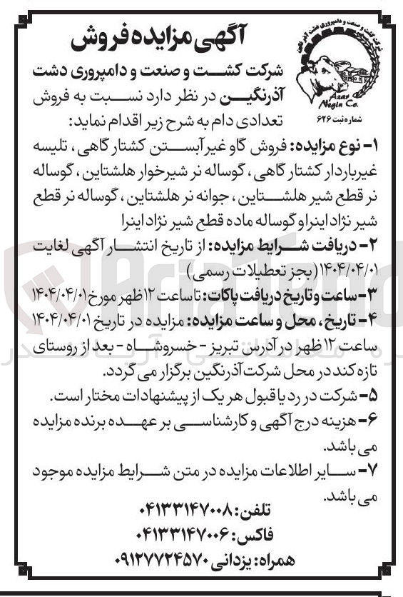 تصویر کوچک آگهی  فروش گاو غیر آبستن کشتارگاهی ، تلیسه غیر باردار کشتار گاهی گوساله نر شیرخوار هلشتاین ، گوساله نر قطع شیر هلشتاین جوانه نر هلشتاین ، گوساله نر قطع شیر نژاد اینراو گوساله ماده قطع شیر نژاد اینرا 
