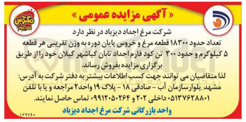 تصویر کوچک آگهی تعداد حدود ۱۸۳۰۰ قطعه مرغ و خروس پایان دوره به وزن تقریبی هر قطعه ۵ کیلوگرم و حدود ۳۰۰ تن کود فارم
