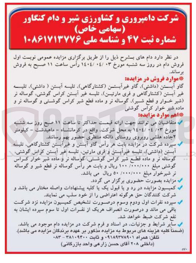 تصویر کوچک آگهی فروش دام : گاو آبستن داشتی ) گاو غیر آبستن کشتارگاهی تلیسه آبستن ( داشتی ) ، تلیه غیر آبستن کشتارگاهی و فری مارتین تلیسه غیر آبستن کراس گوشتی گوساله نر شیر خوار و قطع شیر گوساله نر و ماده قطع شیر کراس گوشتی و گوساله نر و ماده شیر خوار کراس گوشتی