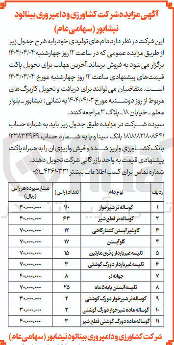 تصویر کوچک آگهی تلیسه غیر باردار دورگ گوشتی 

