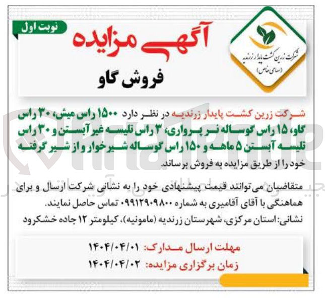 تصویر کوچک آگهی فروش گاو (۱۵۰۰ راس میش، ۳۰ راس گاو، ۱۵ راس گوساله نر پرواری، ۳ راس تلیسه غیر آبستن و ۳۰ راس تلیسه آبستن ۵ ماهه و ۱۵۰ راس گوساله شیرخوار و از شیر گرفته