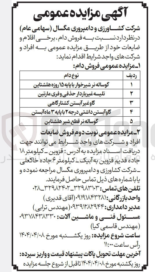 تصویر کوچک آگهی فروش دام : گوساله نر شیرخوار با پایه 15 روزه هلشتاین - تلیسه غیرباردار حذفی و فری مارتین - گاو غیر آبستن کشتارگاهی - گاو آبستن داشتی درجه 2 با پایه 3 ماه آبستن - گوساله نر قطع شیر هلشتاین