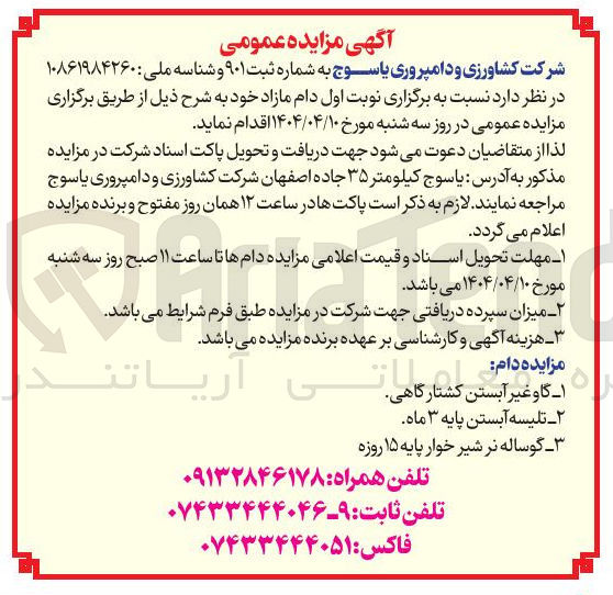 تصویر کوچک آگهی فروش دام : گاو آبستن کشتارگاهی - تلیسه آبستن پایه 3 ماهه - گوساله نر شیر خوار پایه 15 روزه