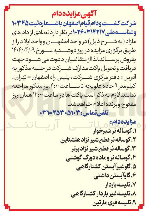 تصویر کوچک آگهی فروش دام های مازاد : گوساله نر شیرخوار - گوساله نر قطع شیر نژاد هلشتاین - گوساله نر قطع شیرنژاد برتر - گوساله نر و ماده دورگ گوشتی - گاو غیرآبستنکشتارگاهی - گاو آبستن داشتی - تلیسه باردار - تلیسه غیرباردار کشتارگاهی - تلیسه فری مارتین