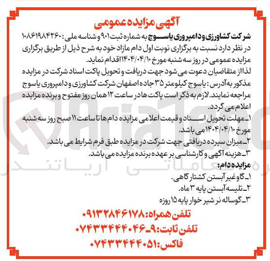 تصویر کوچک آگهی فروش دام مازاد : گاو غیرآبستن کشتارگاهی - تلیسه آبستن پایه 3 ماه - گوساله نر شرخوار پایه 15 روزه