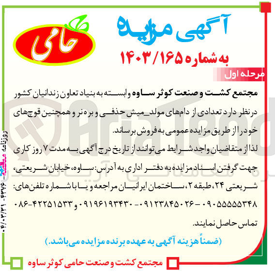 تصویر کوچک آگهی فروش تعدادی از دام های مولد - میش حذفی و بره نر و همچنین قوچ های خود