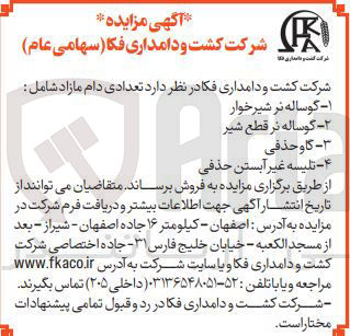 تصویر کوچک آگهی فروش تعدادی دام مازاد شامل : ۱- گوساله نر شیرخوار ۲- گوساله نر قطع شیر ۳- گاو حذفی ۴- تلیسه غیر آبستن حذفی