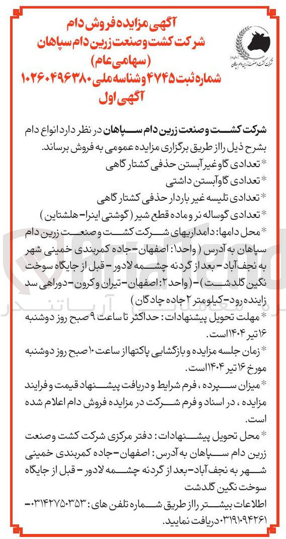 تصویر کوچک آگهی فروش انواع دام : تعدادی گاو غیر آبستن حذفی کشتارگاهی - تعدادی گاو آبستن داشتی - تعدادی تلیسه غیر باردار حذفی کشتارگاهی - تعدادی گوساله نر و ماده قطع شیر (گوشتی اینرا - هلشتاین ) 