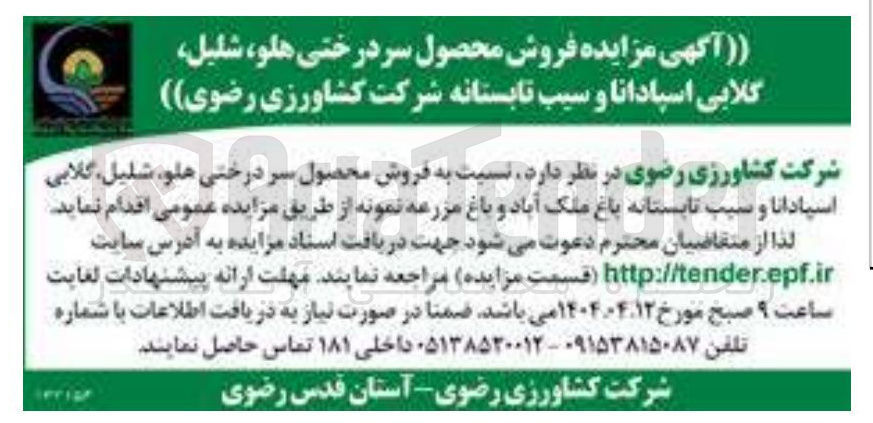 تصویر کوچک آگهی  فروش محصول سر درختی هلو شلیل ، گلابی اسپادانا و سیب تابستانه باغ ملک آباد و باغ مزرعه نمونه