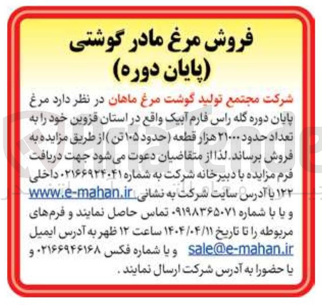 تصویر کوچک آگهی فروش مرغ پایان دوره گله راس فارم آبیک به تعداد حدود ۲۱۰۰۰ هزار قطعه ( حدود ۱۰۵ تن )