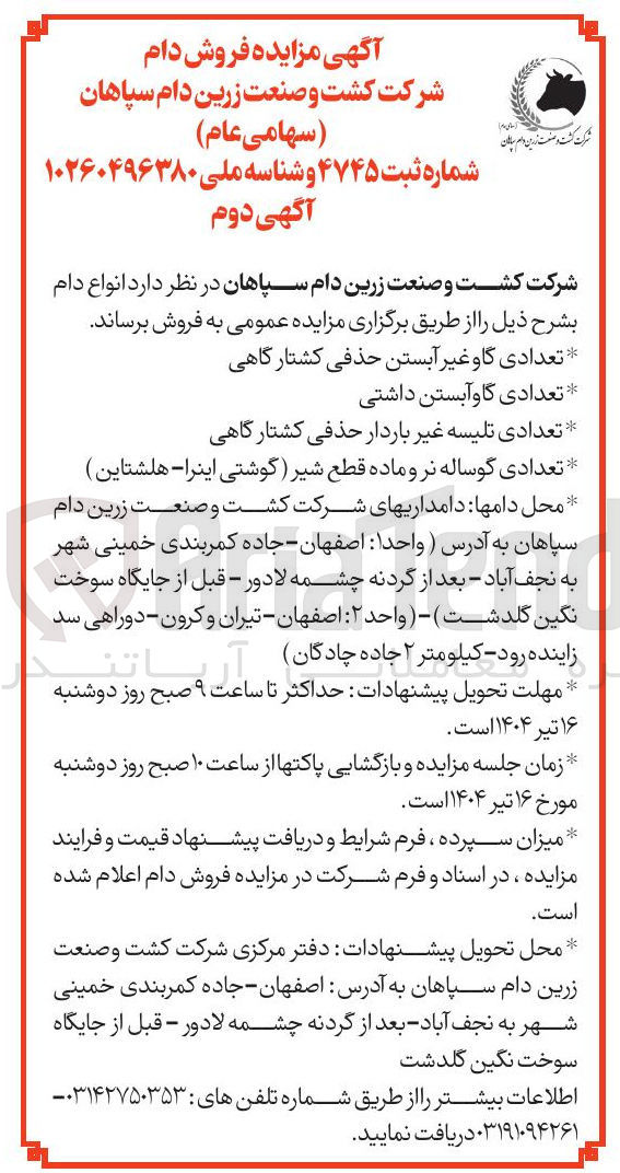 تصویر کوچک آگهی تعدادی گاو آبستن داشتی 
