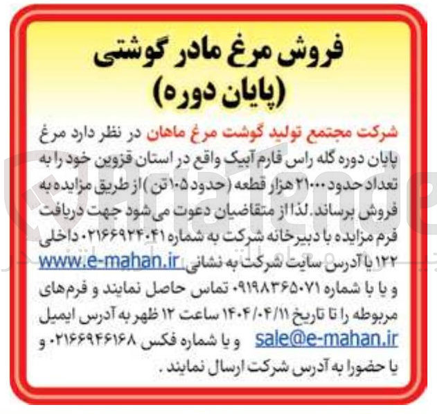 تصویر کوچک آگهی فروش مرغ پایان دوره گله راس فارم آبیک به تعداد حدود ۲۱۰۰۰ هزار قطعه ( حدود ۱۰۵ تن)
