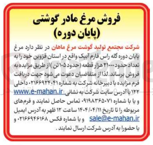 تصویر کوچک آگهی فروش مرغ پایان دوره گله راس فارم آبیک به تعداد حدود ۲۱۰۰۰ هزار قطعه ( حدود ۱۰۵ تن)