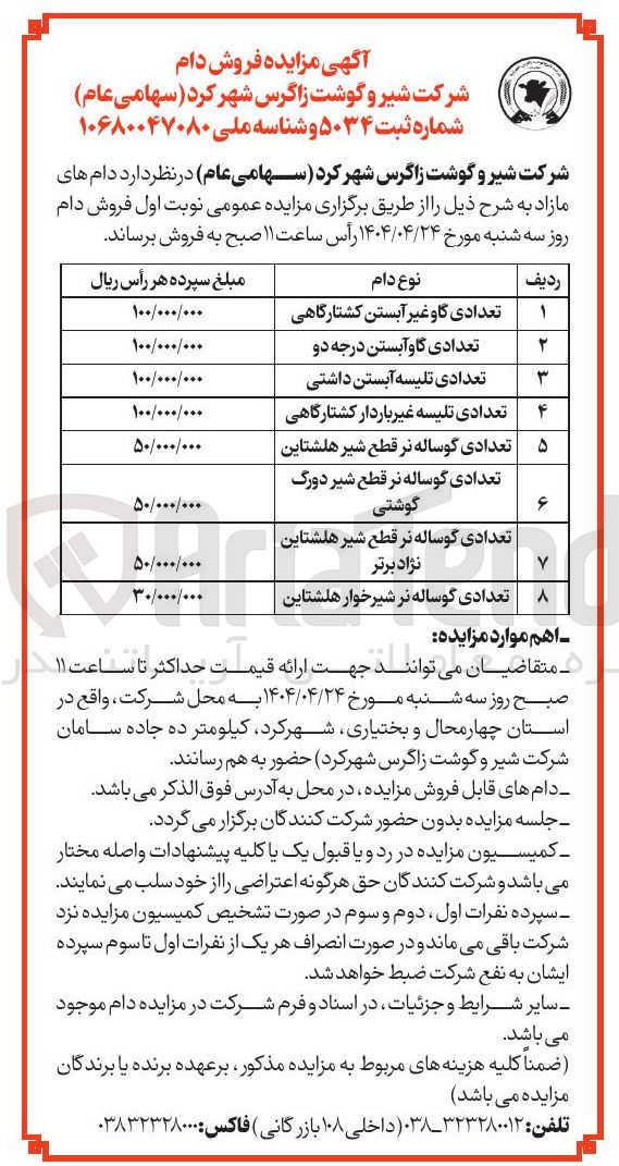 تصویر کوچک آگهی فروش دام مازاد : تعدادی گاو غیر آبستن کشتارگاهی - تعدادی گاو آبستن درجه دو - تعدادی تلیسه آبستن داشتی - تعدادی تلیسه غیر باردار کشتارگاهی - تعدادی گوساله نر قطع شیر هلشتاین - تعدادی گوساله نر قطع شیر دورگ گوشتی - تعدادی گوساله نر قطع شیر هلشتاین نژاد برتر - تعدادی گوساله نر شیرخوار هلشتاین