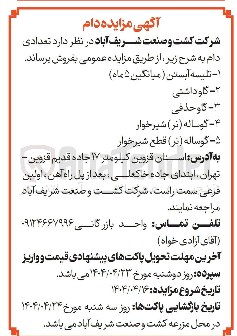 تصویر کوچک آگهی فروش تعدادی دام : تلیسه آبستن ( میانگین ۵ ( ماه - گاو داشتی - گاو حذفی - گوساله ( نر ) شیرخوار - گوساله ( نر ) قطع شیرخوار 