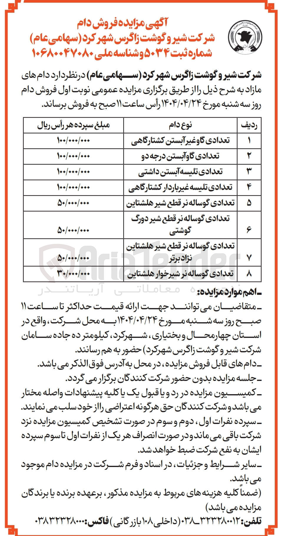 تصویر کوچک آگهی فروش دام مازاد تعدادی گاو غیر آبستن کشتارگاهی - تعدادی گاو آبستن درجه دو - تعدادی تلیسه آبستن داشتی - تعدادی تلیسه غیر باردار کشتارگاهی - تعدادی گوساله نر قطع شیر هلشتاین - تعدادی گوساله نر قطع شیر دورگ گوشتی - تعدادی گوساله نر قطع شیر هلشتاین نژاد برتر - تعدادی گوساله نر شیرخوار هلشتاین 