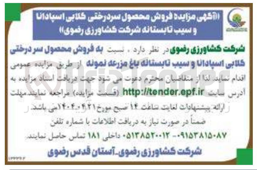 تصویر کوچک آگهی فروش محصول سر درختی گلابی اسپادانا و سیب تابستانه باغ مزرعه نمونه