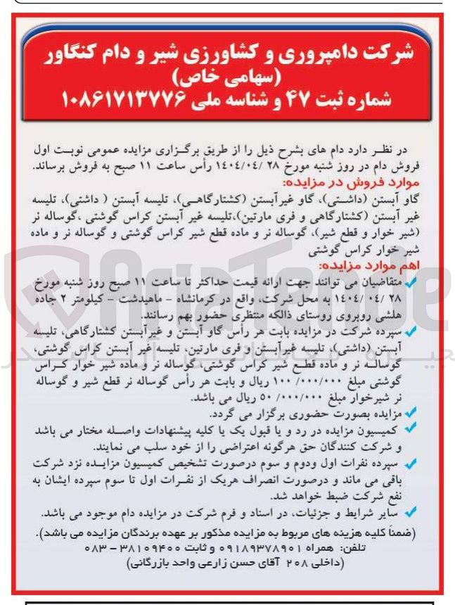 تصویر کوچک آگهی فروش گاو آبستن داشتی ) گاو غیر آبستن کشتارگاهی تلیسه آبستن ( داشتی ) ، تلیسه غیر آبستن کشتارگاهی و فری مارتین تلیسه غیر آبستن کراس گوشتی ، گوساله نر شیر خوار و قطع شیر گوساله نر و ماده قطع شیر کراس گوشتی و گوساله نر و ماده شیر خوار کراس گوشتی 