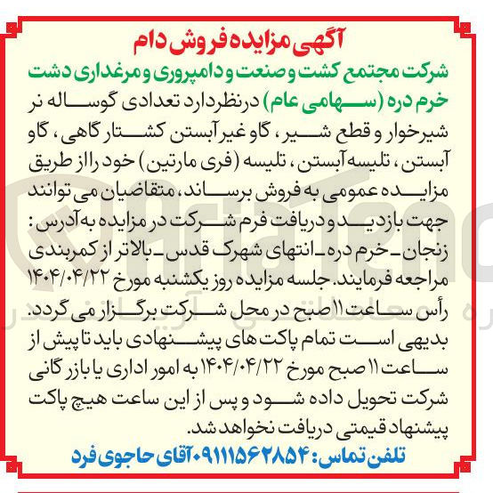 تصویر کوچک آگهی فروش  تعدادی گوساله نر شیرخوار و قطع شیر گاو غیر آبستن کشتارگاهی ، گاو آبستن ، تلیسه آبستن تلیسه فری مارتین 