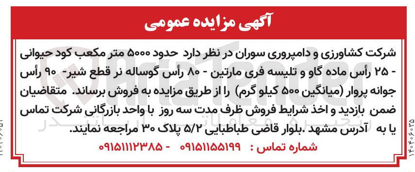 تصویر کوچک آگهی  حدود ۵۰۰۰ متر مکعب کود حیوانی - ۲۵ رأس ماده گاو و تلیسه فری مارتین - ۸۰ رأس گوساله نر قطع شیر ۹۰ رأس جوانه پروار میانگین ۵۰۰ کیلو گرم
