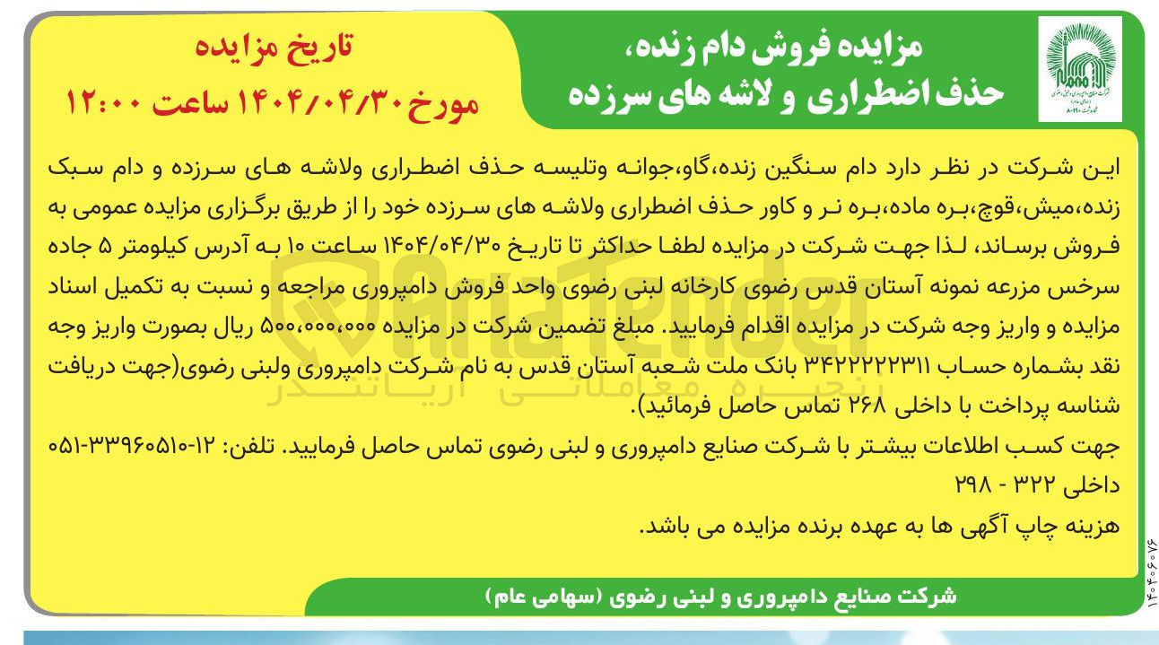 تصویر کوچک آگهی دام سنگین زنده گاو جوانه و تلیسه حذف اضطراری ولاشه های سرزده و دام سبک زنده میش ، قوچ ، بره ماده بره نر و کاور حذف اضطراری ولاشه های سرزده 