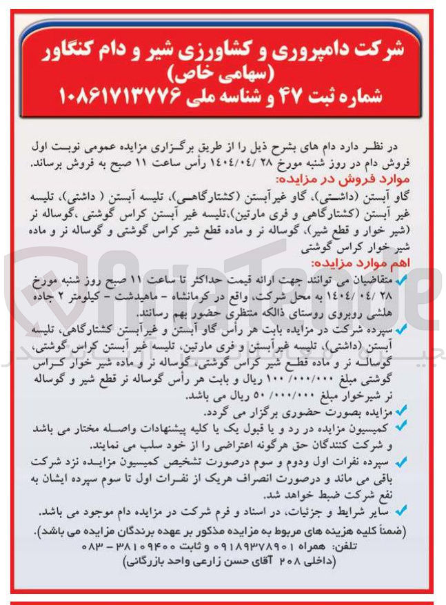 تصویر کوچک آگهی گاو آبستن داشتی گاو غیر آبستن کشتارگاهی تلیسه آبستن ( داشتی ) ، تلیسه غیر آبستن کشتارگاهی و فری مارتین تلیسه غیر آبستن کراس گوشتی ، گوساله نر شیر خوار و قطع شیر گوساله نر و ماده قطع شیر کراس گوشتی و گوساله نر و ماده شیر خوار کراس گوشتی 