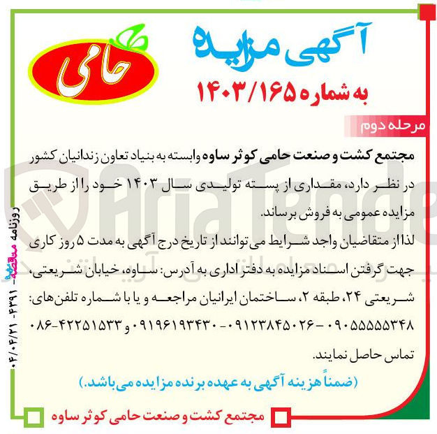 تصویر کوچک آگهی فروش مقداری از پسته تولیدی سال ۱۴۰۳