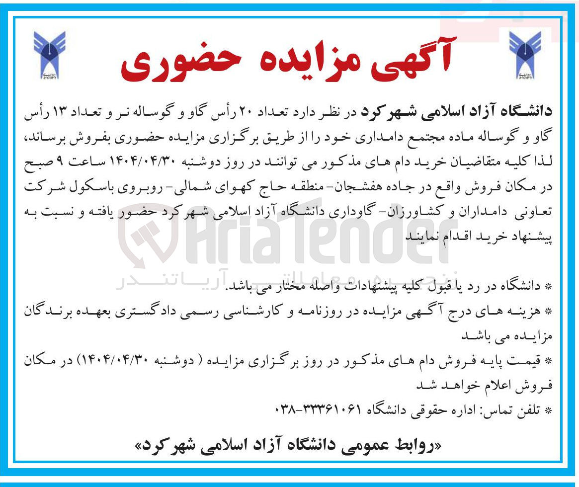 تصویر کوچک آگهی فروش تعداد ۲۰ رأس گاو و گوساله نر و تعداد ۱۳ رأس گاو و گوساله ماده مجتمع دامداری