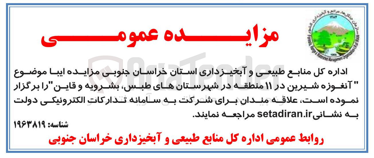 تصویر کوچک آگهی  آنغوزه شیرین