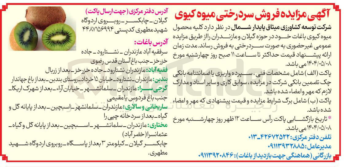 تصویر کوچک آگهی فروش کلیه محصول میوه کیوی باغات