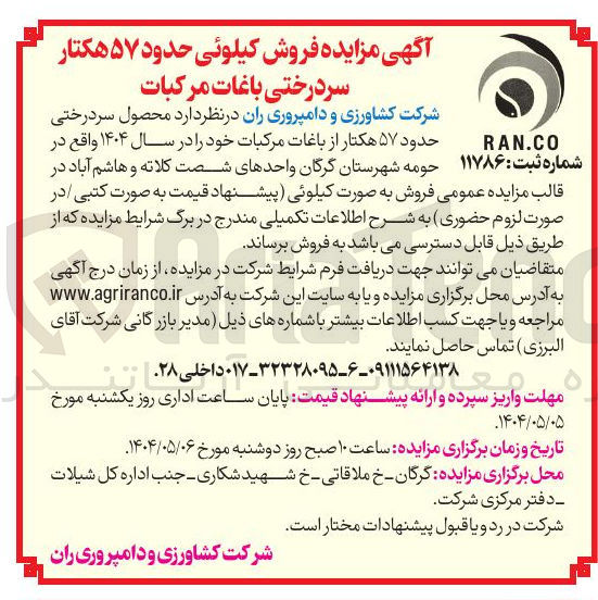 تصویر کوچک آگهی فروش محصول سردرختی حدود ۵۷ هکتار از باغات مرکبات