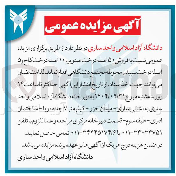 تصویر کوچک آگهی فروش ۵۰ اصله درخت صنوبر ، ۱۰ اصله درخت کاج و ۵ اصله درخت سپیدار