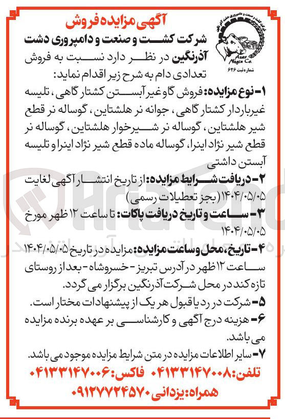 تصویر کوچک آگهی فروش تعدادی دام : گاو غیر آبستن کشتارگاهی ، تلیسه غیر باردار کشتار گاهی جوانه نر هلشتاین ، گوساله نر قطع شیر هلشتاین ، گوساله نر شیرخوار هلشتاین گوساله نر قطع شیر نژاد اینرا گوساله ماده قطع شیر نژاد اینرا و تلیسه آبستن داشتی 