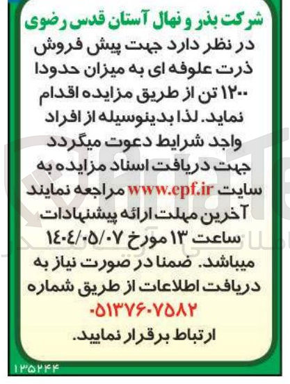 تصویر کوچک آگهی پیش فروش ذرت علوفه ای به میزان حدودا ۱۲۰۰ تن