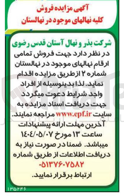 تصویر کوچک آگهی فروش تمامی ارقام نهالهای موجود