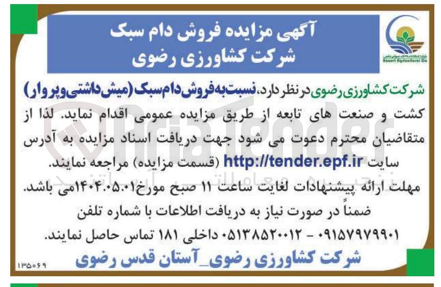 تصویر کوچک آگهی  فروش دام سبک میش داشتی و پروار کشت و صنعت های تابعه