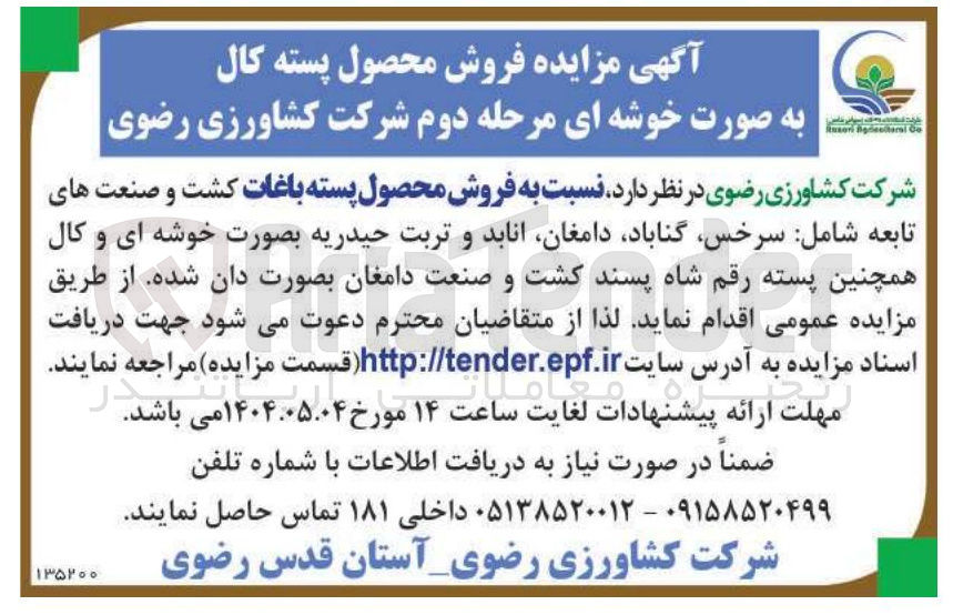 تصویر کوچک آگهی فروش محصول پسته باغات 