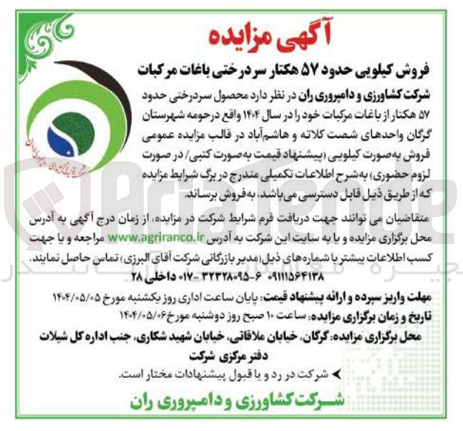 تصویر کوچک آگهی فروش کیلویی حدود ۵۷ هکتار سردرختی باغات مرکبات