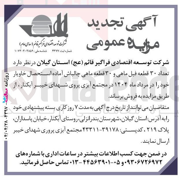 تصویر کوچک آگهی فروش تعداد ۳۰ قطعه فیل ماهی و ۳۰ قطعه ماهی چالباش آماده استحصال خاویار 