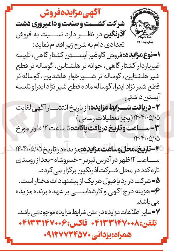 تصویر کوچک آگهی فروش گاو غیر آبستن کشتارگاهی ، تلیسه غیر باردار کشتار گاهی جوانه نر هلشتاین ، گوساله نر قطع شیر هلشتاین ، گوساله نر شیر خوار هلشتاین ، گوساله نر قطع شیر نژاد اینرا گوساله ماده قطع شیر نژاد اینرا و تلیسه آبستن داشتی