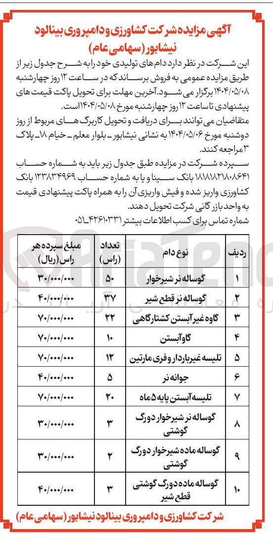 تصویر کوچک آگهی فروش دامهای تولیدی : گوساله نر شیرخوار - گوساله نر قطع شیر - گاوه غیر آبستن کشتارگاهی - گاو آبستن - تلیسه غیر باردار و فری مارتین  - جوانه نر - تلیسه آبستن پایه ۵ ماه - گوساله نر شیرخوار دورگ گوشتی - گوساله ماده شیرخوار دورگ گوشتی - گوساله ماده دورگ گوشتی قطع شیر