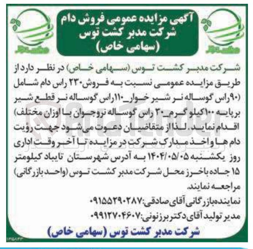 تصویر کوچک آگهی  فروش ۲۳۰ راس دام شامل ( ) ۹۰ راس گوساله نر شیر خوار ۱۱۰ راس گوساله نر قطع شیر بر پایه ۱۰۰ کیلو گرم ۳۰ راس گوساله نروجوان با اوزان مختلف