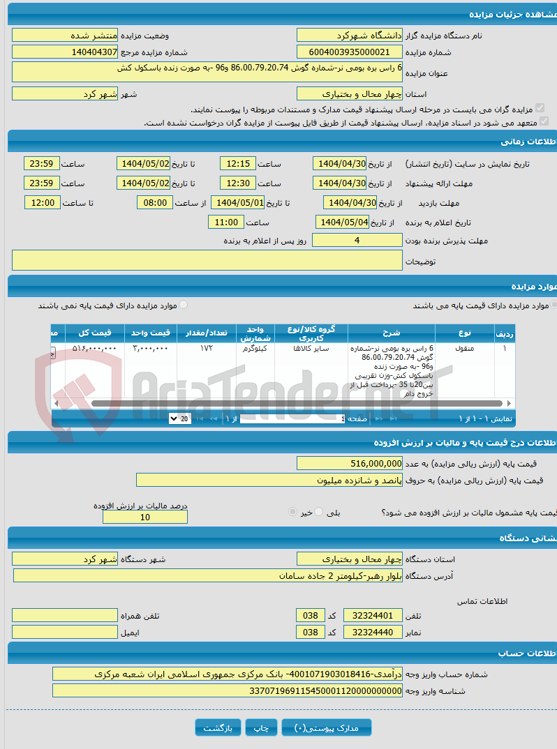 تصویر کوچک آگهی 6 راس بره بومی نر-شماره گوش 86،00،79،20،74 و96 -به صورت زنده باسکول کش