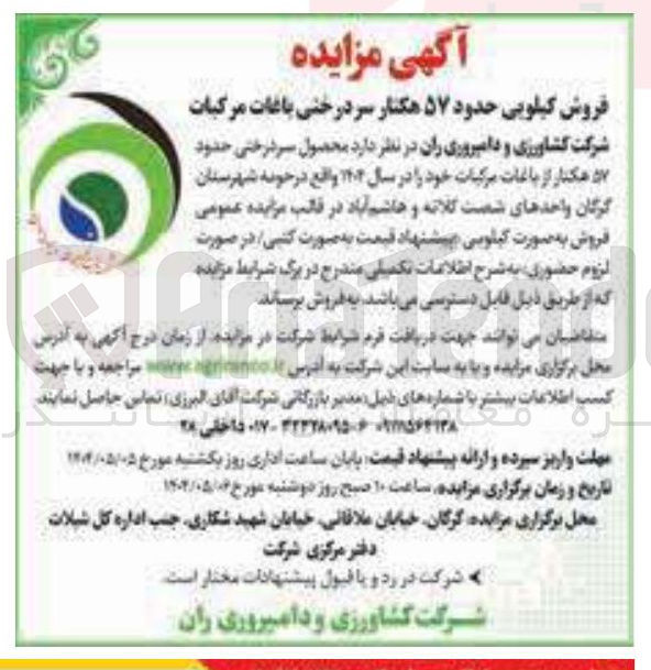 تصویر کوچک آگهی فروش کیلویی حدود ۵۷ هکتار سر درختی باغات مرکبات 