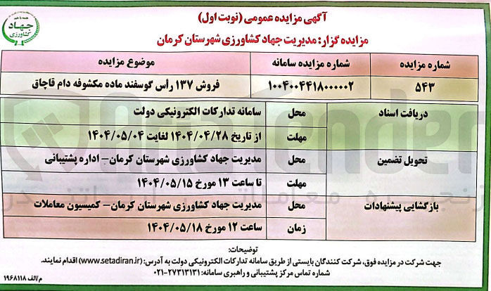 تصویر کوچک آگهی فروش ۱۳۷ راس گوسفند ماده مکشوفه دام قاچاق
